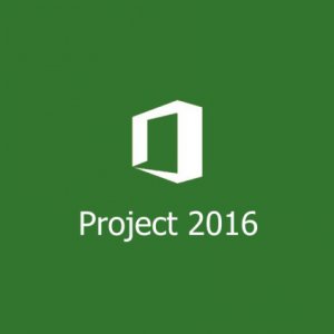 Microsoft Project Professional 2016