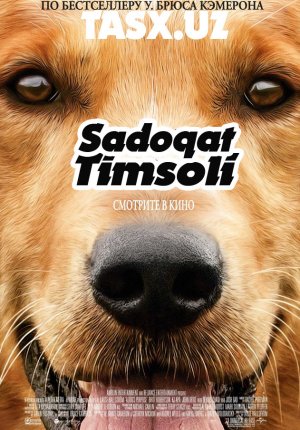 Sadoqat timsoli