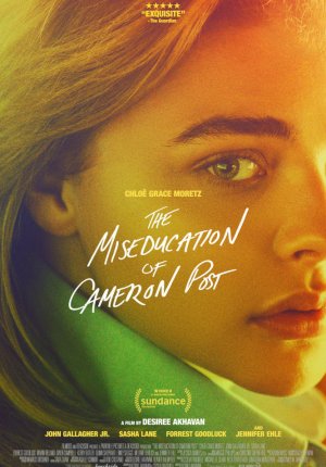 Неправильное воспитание Кэмерон Пост / The Miseducation of Cameron Post