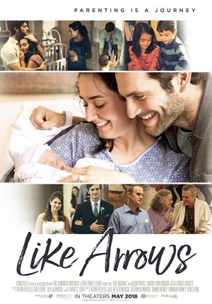 История одной семьи / Like Arrows: The Art of Parenting