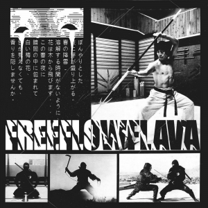 Free Flow Flava - Secret Ninja