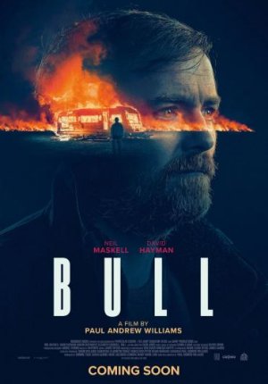 Бычара / Bull